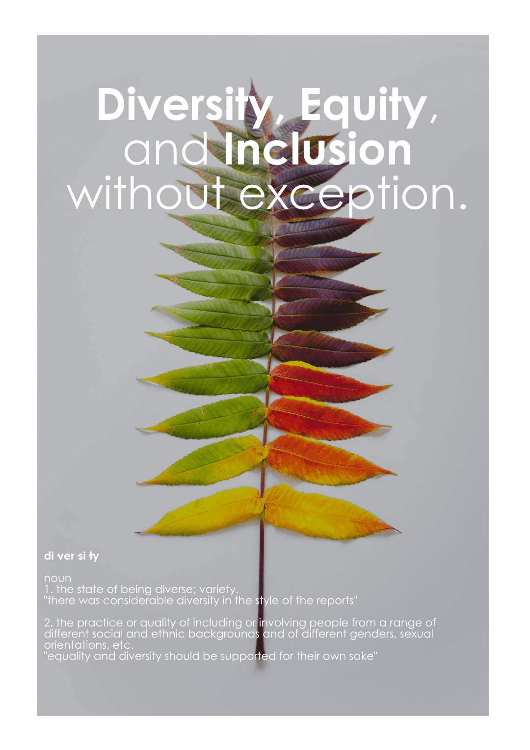 A poster that says diversity equity and inclusion without exception